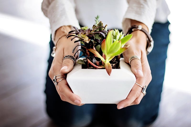 Vertical Plant Arrangement